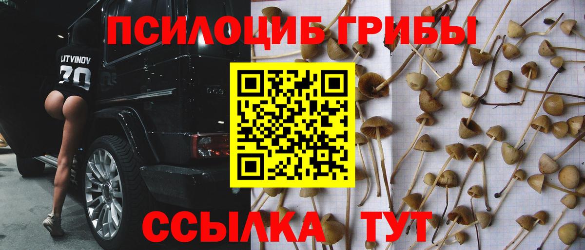 Печора  Псилоцибиновые грибы GOLDEN TEACHER  Вход с VPN 